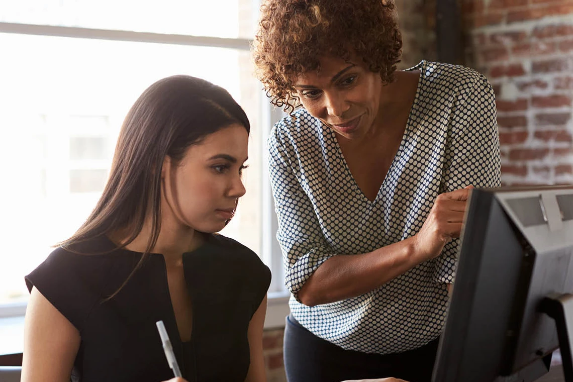 A young librarian being mentored by a professional librarian